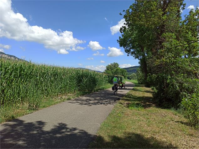 vélo sur la via rhôna - K.Tranchina