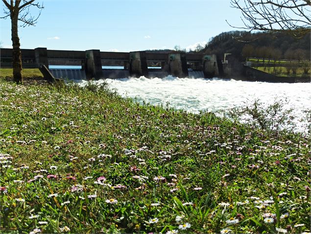 barrage de Sault Brenaz - K.Tranchina