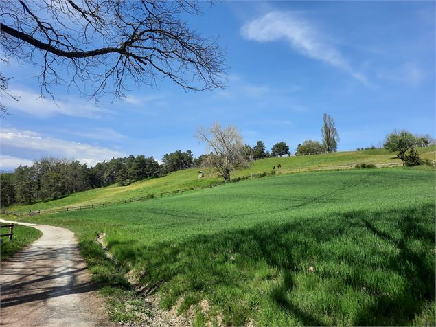 Chemin Malagny - Alexis Brochot