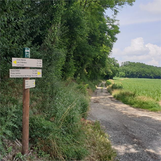 Circuit pédestre : Autour de Bressolles