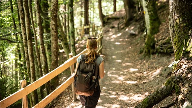 Le parcours de l'eau : de Champéry à Monthey - Monique Borel