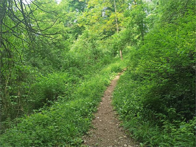 Sentier Chazey Sainte Julie - K.Tranchina