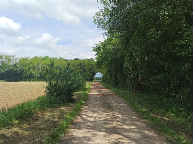 Sentier Chazey Sainte Julie - K.Tranchina