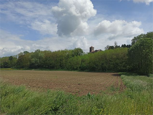 Sentier Chazey Sainte Julie - K.Tranchina