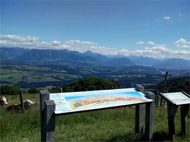 Point de vue - Le Plan du Salève - Alter Alpa Tourisme