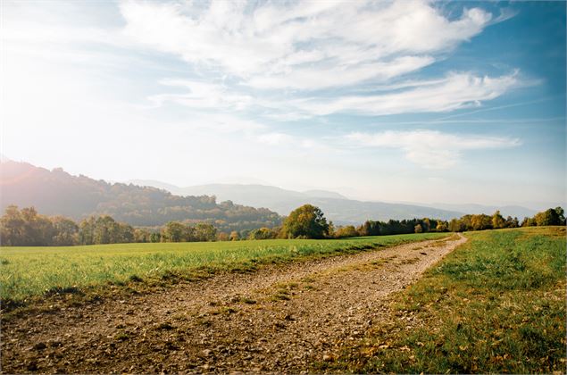 Sentier des Graniteurs - Charly - OT Monts du Genevois - A. Modylevskaia