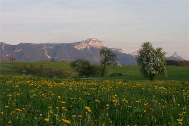bornes - Alter Alpa Tourisme