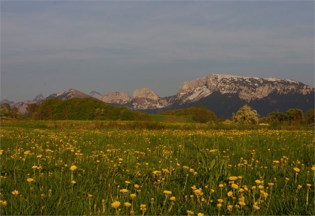 bornes - Alter Alpa Tourisme