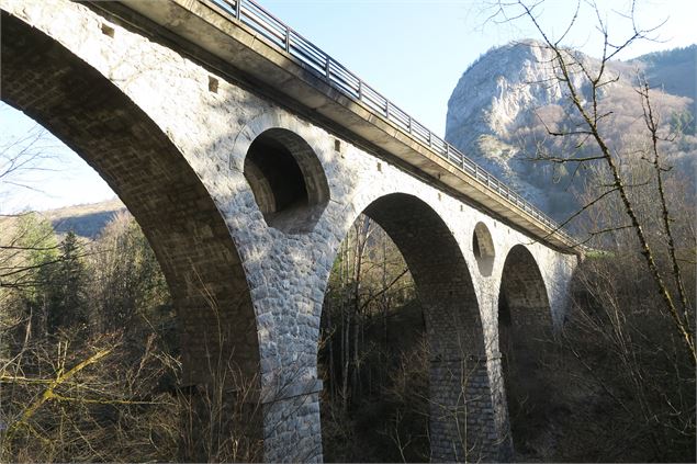 Pont de la Tassonnière - Victor Demilly / Vallée d'Aulps Tourisme