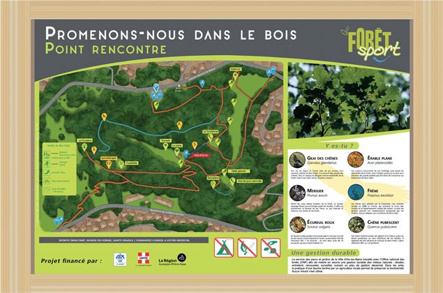Bois vidal parcours details - OT