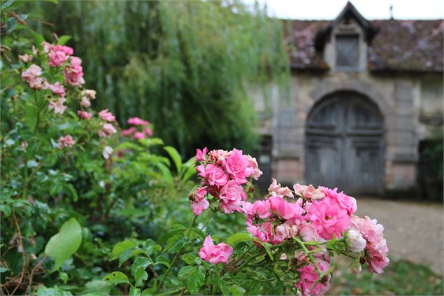 chartreuse - eductour Bresse - 9 aout 2018 - ©Marine LAUBRIAT OTBBB  (2)