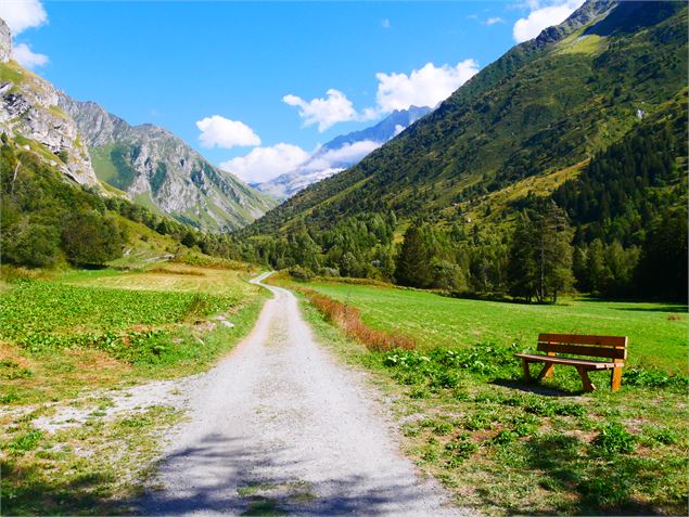Promenade confort - G.Kiener 2020