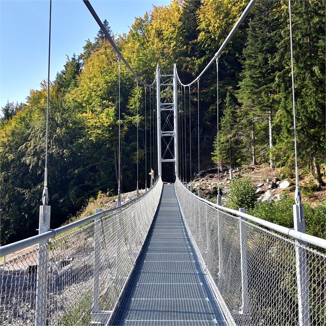 Passerelle himalayenne en été - Yoan Gautheron