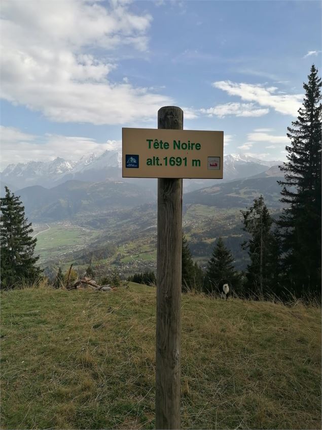 Panneau croix de tête noire - © Cordon Tourisme
