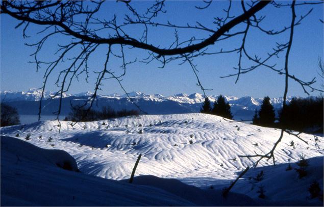 raquette - 