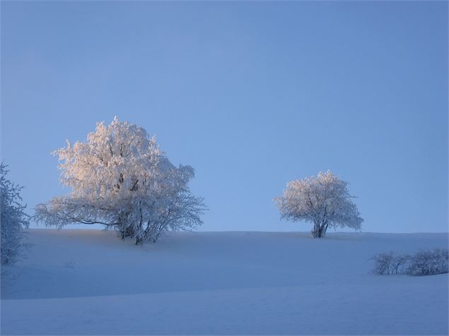 paysage - 