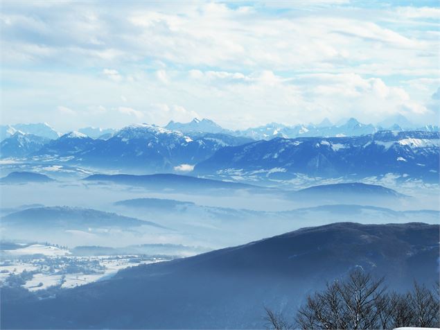 paysage - 