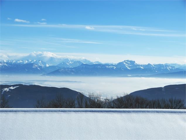 paysage - 