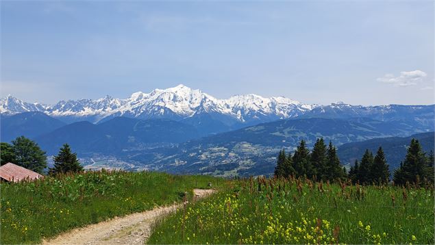 Sur la sentier du Plateau des Bénés - Cordon Tourisme