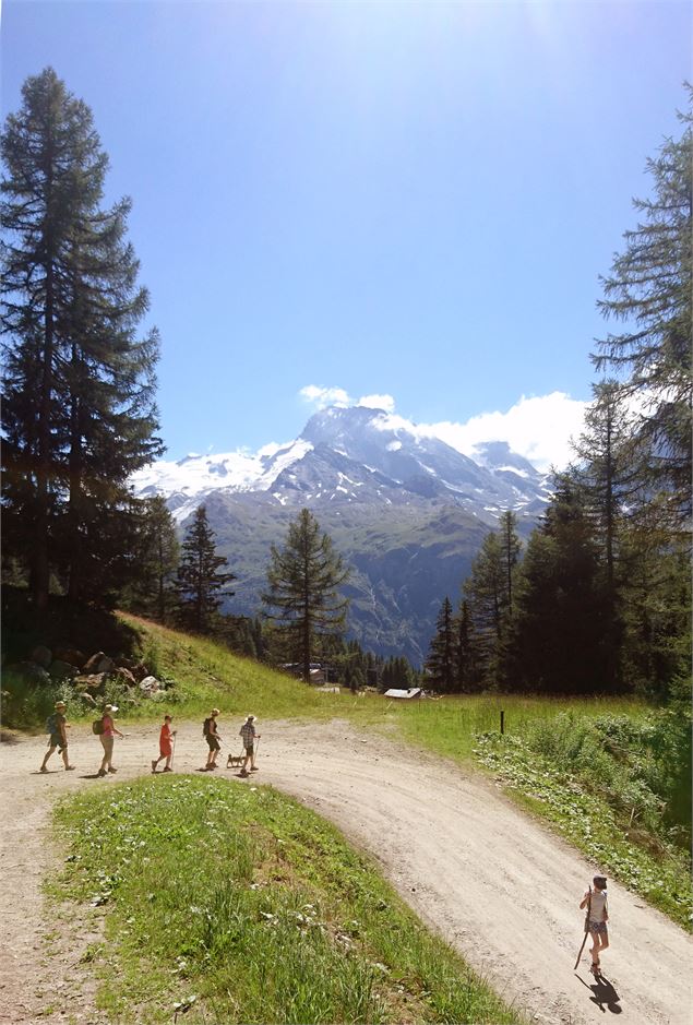 Plan Bois - Sainte Foy Tourisme