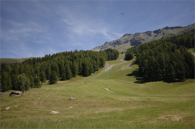 Plateau de Plan Bois - Sainte Foy Tourisme