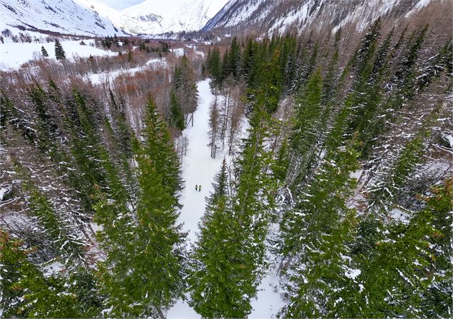 En forêt sur le chemin du Petit Bonheur - OT Haute Maurienne Vanoise - Ingrid Pauwels Etiévant