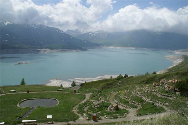 Jardin alpin du Mont-Cenis - HMVT