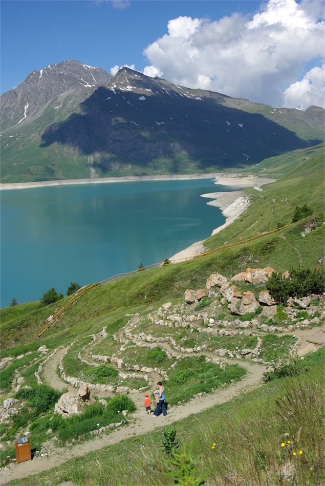Jardin alpin du Mont-Cenis - HMVT