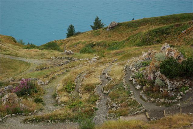 Jardin alpin du Mont-Cenis - HMVT