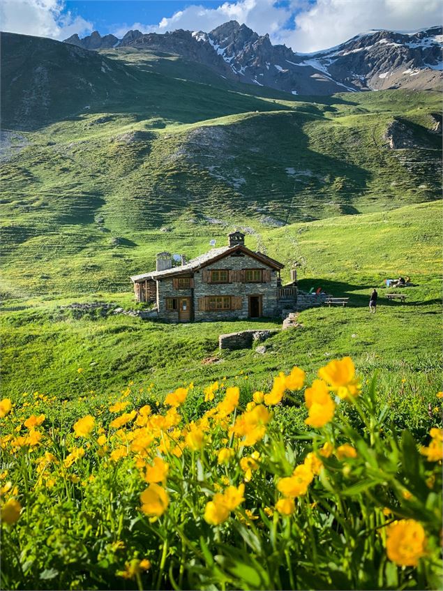 Refuge de Vallonbrun dans les fleurs de montagnes - CCHMV - MF Rigolet