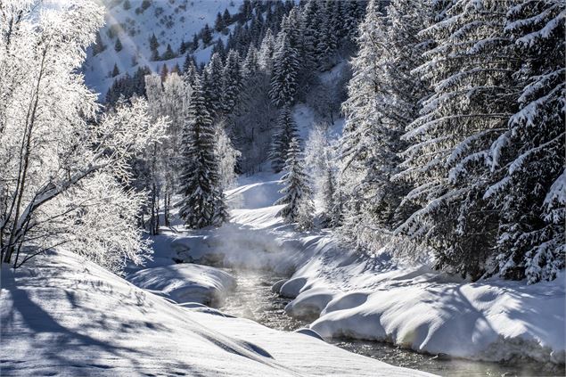 Vallon de Champagny-le-Haut - Nomad Photographie 2020