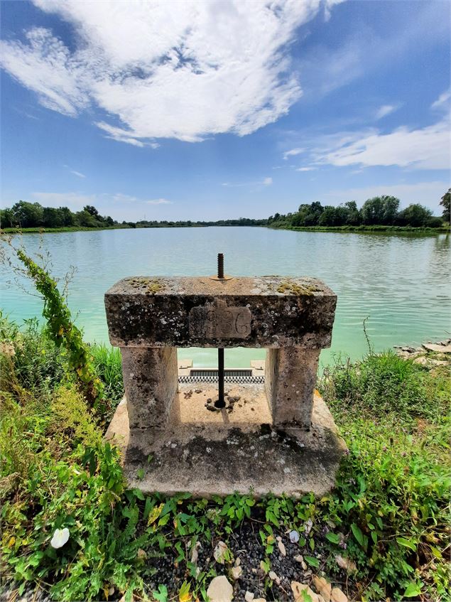 Le thou d'un étang de la Dombes - ©Arcom Design