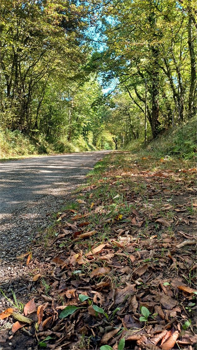 Circuit de l'étang des Vavres - Claire CURT