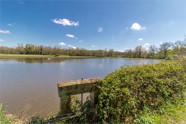 Etang - Claire CURT