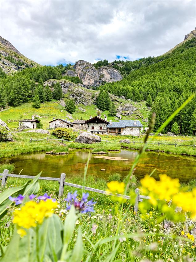 Circuit randonnée : le Monal depuis l'Échaillon_Sainte-Foy-Tarentaise - David André