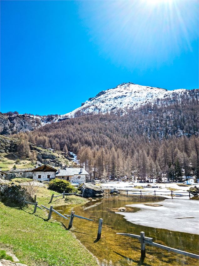 Circuit randonnée : le Monal depuis l'Échaillon_Sainte-Foy-Tarentaise - David André