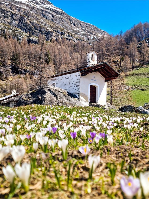 Circuit randonnée : le Monal depuis l'Échaillon_Sainte-Foy-Tarentaise - David André