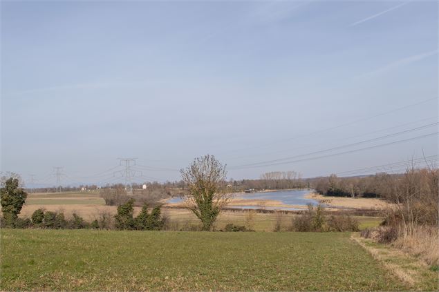 Etang Prêle - M.Zeilfelder