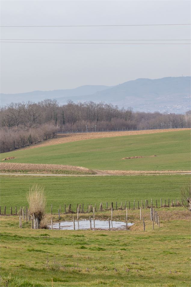 Vue sur le Beaujolais - M.Zeilfelder