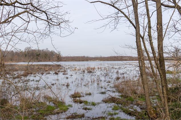 Etang Prêle - M.Zeilfelder