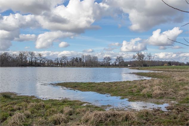 Etang Plombard - M.Zeilfelder