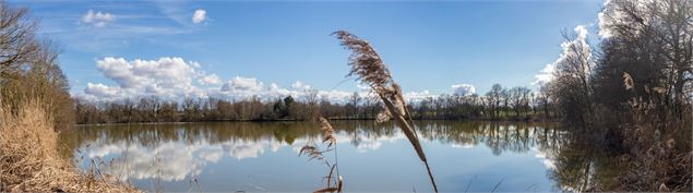 Etang Bassole - M.Zeilfelder