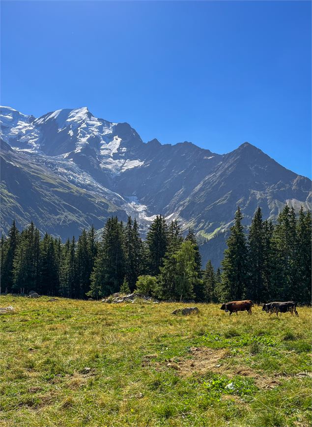 Le Mont Lachat depuis Bellevue
