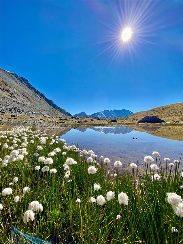 Lac - @lesarcs