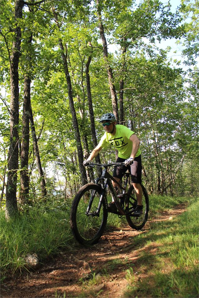 Parcours VTT 54 bleu - Arans et les Hauts d'Evosges - Espace FFC Ain Forestière - Benjamin Dessales