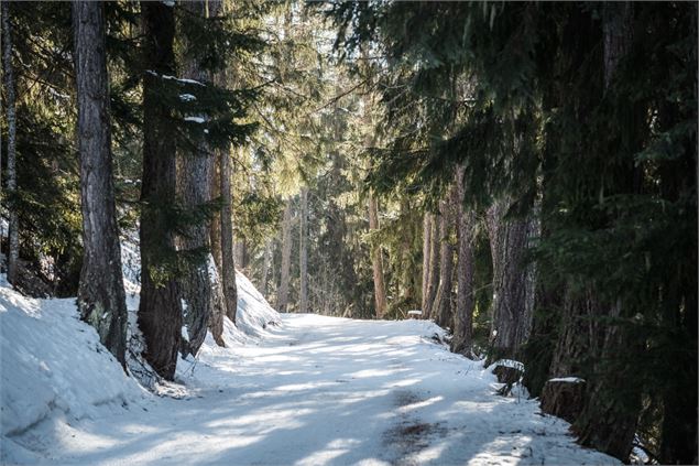 Chemin - Juliette Rebour