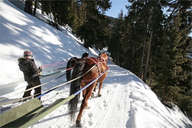 - Ranch El Colorado