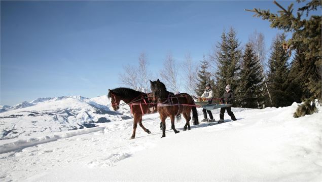 - Ranch El Colorado