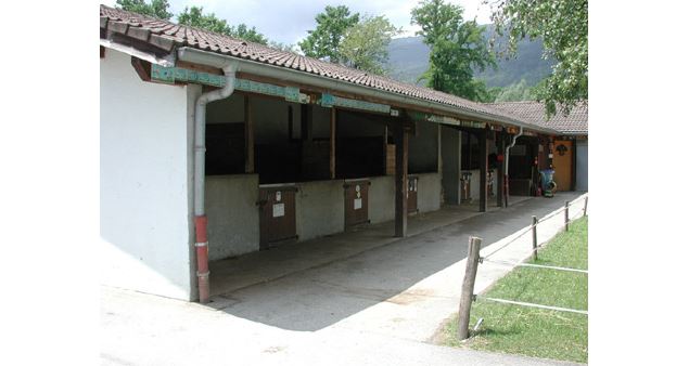 Poney Club d'Echenevex - Poney Club d'Echenevex