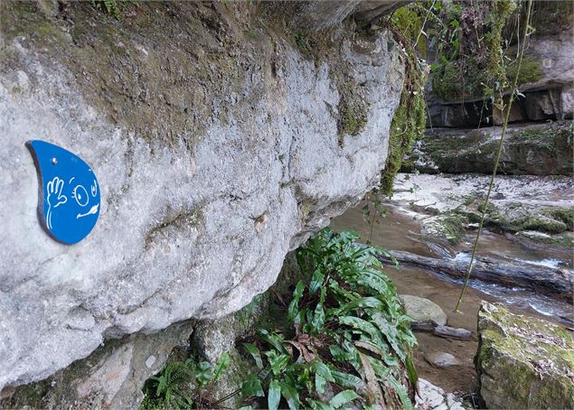 Sentier ludique du Grenand - K.Mandray